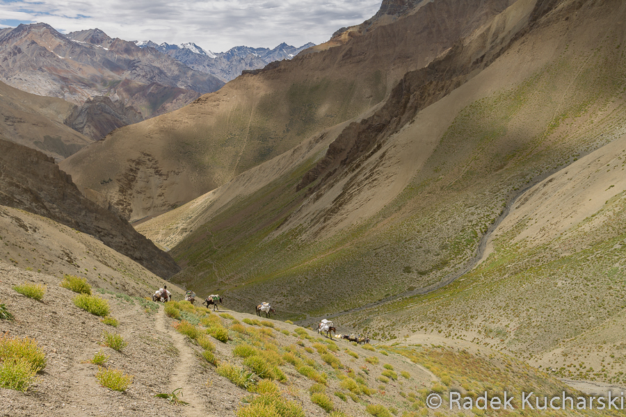 Nie można wyświetlić zdjęcia: R-Kucharski_Ladakh_2016_08_17_0252.jpg