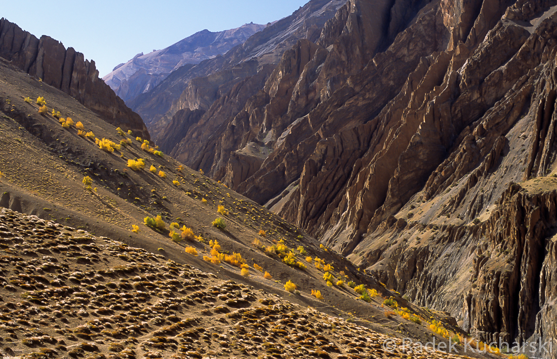 Nie można wyświetlić zdjęcia: R-Kucharski_scanned-photos_Ladakh_013.jpg