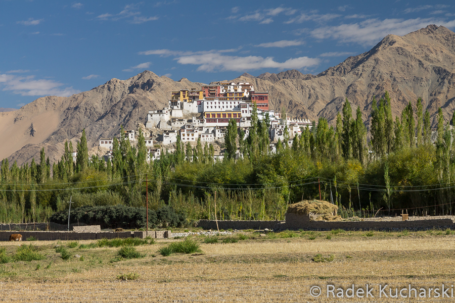 Nie można wyświetlić zdjęcia: R-Kucharski_Ladakh_2013_09_21_0866.jpg