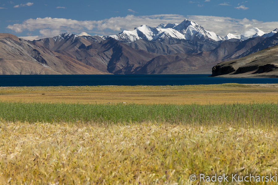 Nie można wyświetlić zdjęcia: R-Kucharski_Ladakh_2015_09_18_0118.jpg